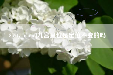 中国台湾九宫星位是定位不变的吗