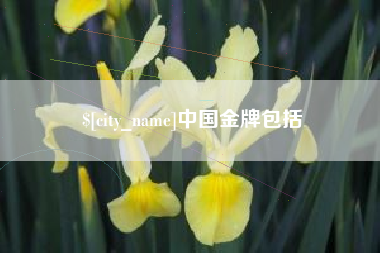 中国台湾中国金牌包括
