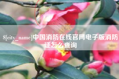 中国台湾中国消防在线官网电子版消防证怎么查询