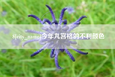 中国台湾今年九宫格的不利颜色