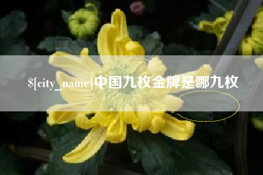 中国台湾中国九枚金牌是哪九枚