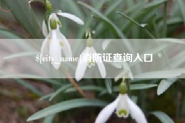 中国台湾消防证查询入口