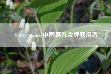 中国台湾中国第九金牌获得者