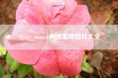 中国台湾中国金牌图片大全