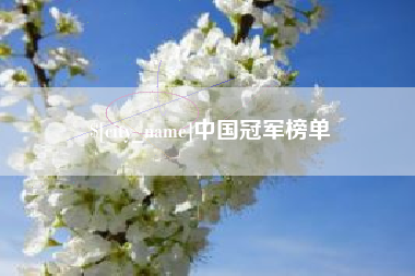 中国台湾中国冠军榜单