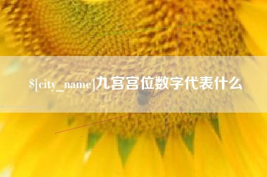 中国台湾九宫宫位数字代表什么