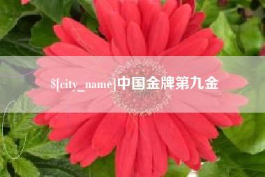 中国台湾中国金牌第九金