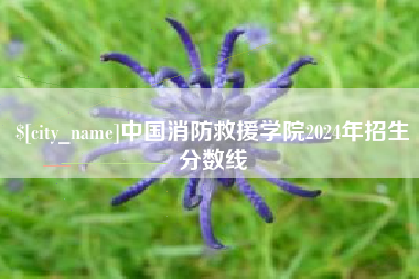 中国台湾中国消防救援学院2024年招生分数线