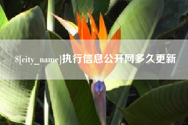 中国台湾执行信息公开网多久更新