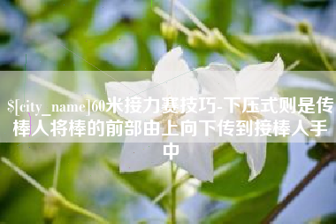 中国台湾60米接力赛技巧-下压式则是传棒人将棒的前部由上向下传到接棒人手中