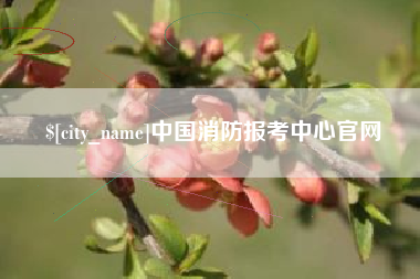 中国台湾中国消防报考中心官网