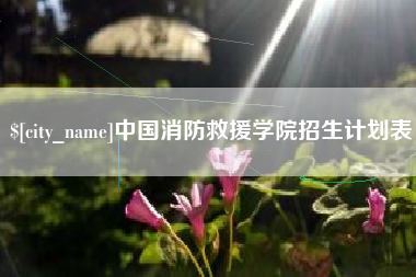 中国台湾中国消防救援学院招生计划表