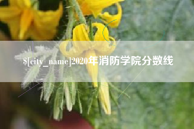 中国台湾2020年消防学院分数线