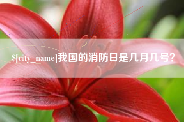 中国台湾我国的消防日是几月几号？