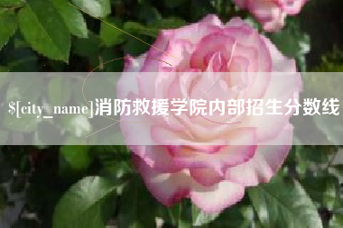 中国台湾消防救援学院内部招生分数线