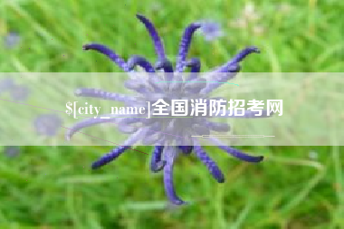 中国台湾全国消防招考网