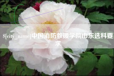 中国台湾中国消防救援学院山东选科要求