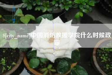 中国台湾中国消防救援学院什么时候政审