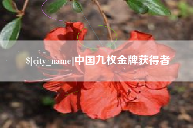 中国台湾中国九枚金牌获得者