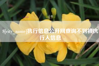 中国台湾执行信息公开网查询不到被执行人信息