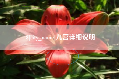 中国台湾九宫详细说明
