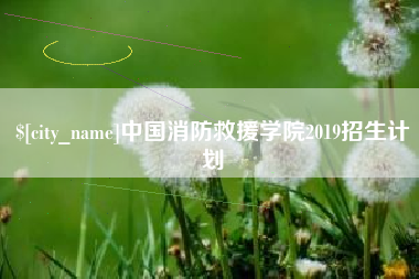 中国台湾中国消防救援学院2019招生计划