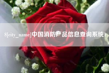 中国台湾中国消防产品信息查询系统1