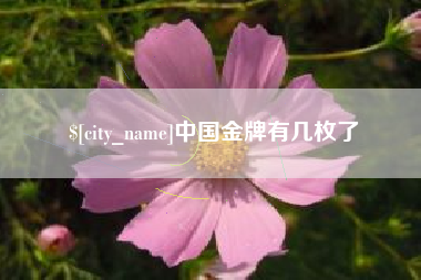 中国台湾中国金牌有几枚了