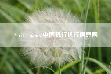 中国台湾中国执行执行信息网