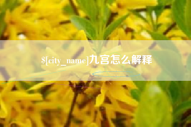 中国台湾九宫怎么解释
