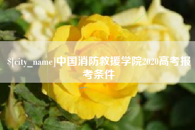 中国台湾中国消防救援学院2020高考报考条件