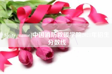 中国台湾中国消防救援学院2021年招生分数线
