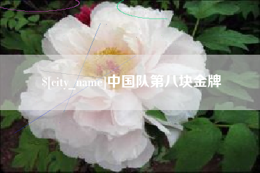 中国台湾中国队第八块金牌