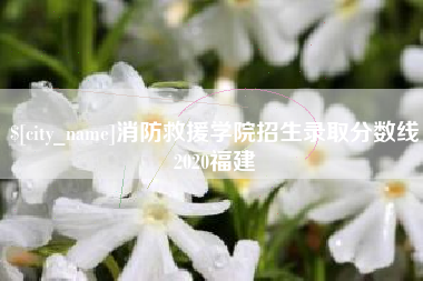 中国台湾消防救援学院招生录取分数线2020福建