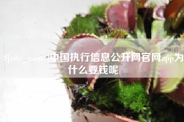 中国台湾中国执行信息公开网官网app为什么要钱呢