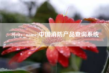中国台湾中国消防产品查询系统