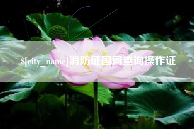 中国台湾消防证国网查询操作证