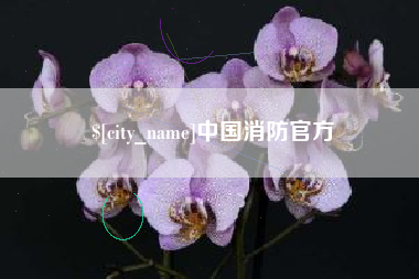 中国台湾中国消防官方