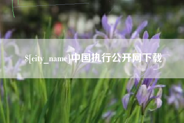 中国台湾中国执行公开网下载