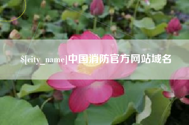 中国台湾中国消防官方网站域名