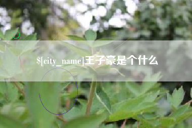 中国台湾王子豪是个什么