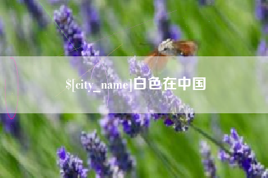 中国台湾白色在中国