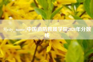 中国台湾中国消防救援学院2020年分数线
