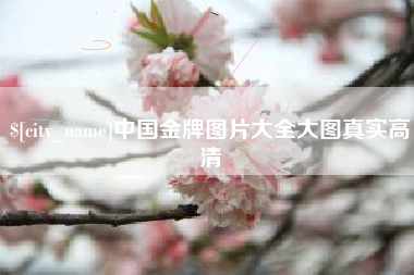 中国台湾中国金牌图片大全大图真实高清