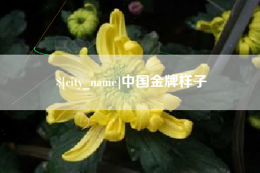 中国台湾中国金牌样子