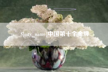 中国台湾中国第十个金牌