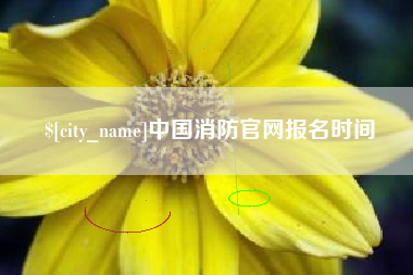 中国台湾中国消防官网报名时间