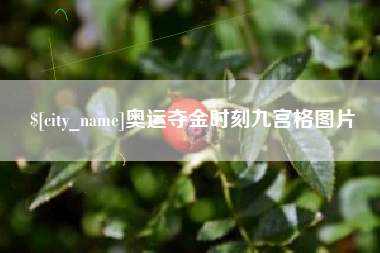 中国台湾奥运夺金时刻九宫格图片