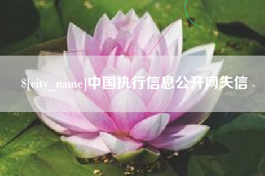 中国台湾中国执行信息公开网失信