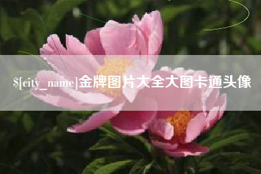 中国台湾金牌图片大全大图卡通头像